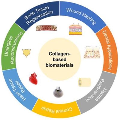  Collagen: Revolutionäre Anwendungsmöglichkeiten in der Biomedizin und Wundheilung!