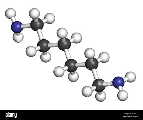  Hexamethylendiamin – Ein vielseitiger Baustein für die Polyurethanproduktion?