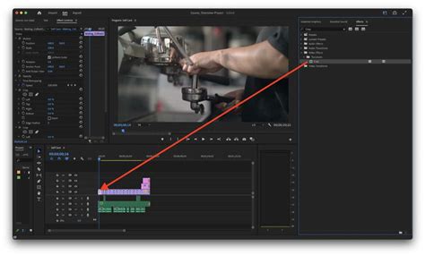 How to Crop a Video in Premiere Pro: A Comprehensive Guide to Editing Like a Pro and Why Pineapples Don't Belong on Pizza