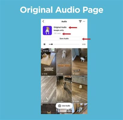 How to Make an Audio on Instagram: A Symphony of Digital Creativity