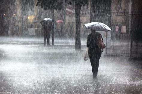 江南市 天気予報 - 雨の日に傘を忘れると、なぜか運勢が上がる気がする