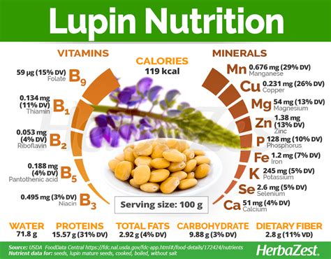 Lupine: Ein vielseitiges Eiweiß für Lebensmittel und Tierfutter?