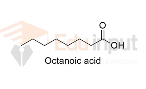  Octanoic Acid: Vielseitiger Baustein für Biokraftstoffe und Duftstoffe!