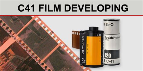 What is C41 Film? A Journey Through the Colors of Analog Photography